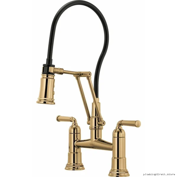 Rook Flexible Articulating Bridge Kitchen Faucet - Brilliance Polished Gold Finish 62274LF-PG Brizo