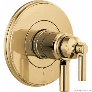 Invari Polished Gold Thermostat Trim with Precise Control for Brizo