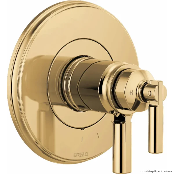 Invari Polished Gold Thermostat Trim with Precise Control for Brizo