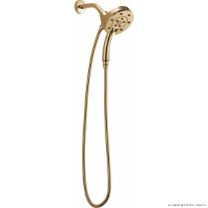 Brizo H2Okinetic 2-in-1 Hand Shower - Euro Round Design, Brilliance Polished Gold 86275-PG-2.5