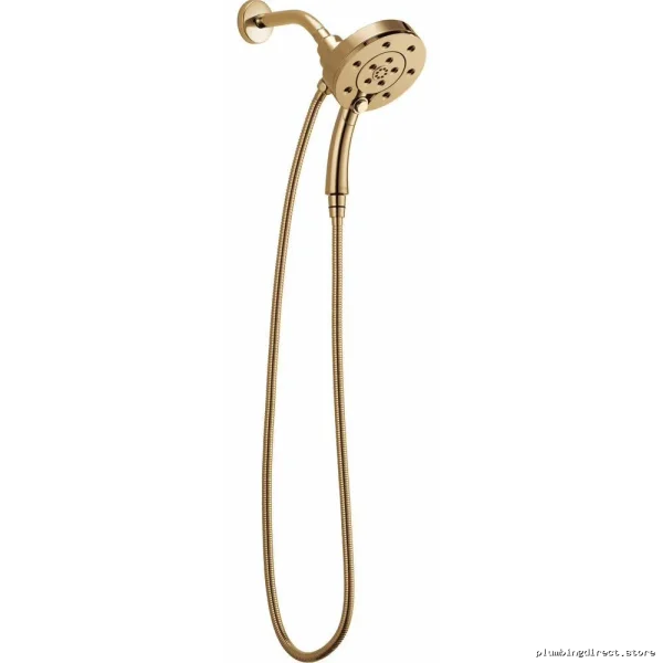 Brizo H2Okinetic 2-in-1 Hand Shower - Euro Round Design, Brilliance Polished Gold 86275-PG-2.5