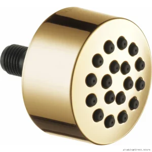 Brizo HydraChoice Touch Clean Polished Gold Body Spray Head