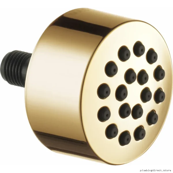 Brizo HydraChoice Touch Clean Polished Gold Body Spray Head