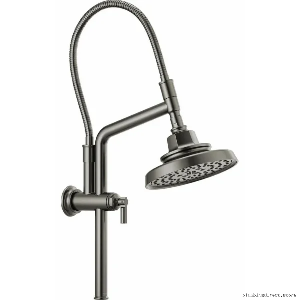 Brizo Invari SmartFlow Rainfall & Massage Adjustable Luxury Stainless Steel Showerhead