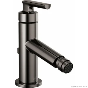 Brizo Kintsu Black Onyx Single Hole Bidet Faucet 68106-BNX