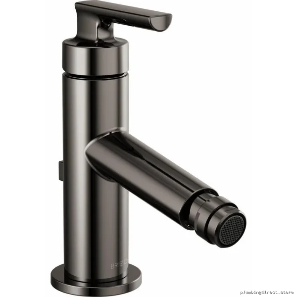 Brizo Kintsu Black Onyx Single Hole Bidet Faucet 68106-BNX
