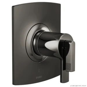 Brizo T60006-BNXLHP Kintsu TempAssure Thermostatic Shower Trim - Black Onyx