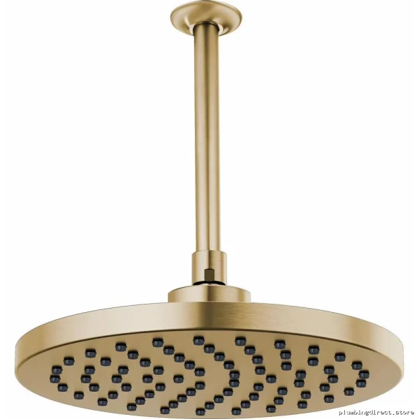 Brizo Levoir Designer Gold Rain Shower Head - Image 3