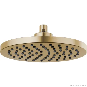Brizo Levoir Designer Gold Rain Shower Head