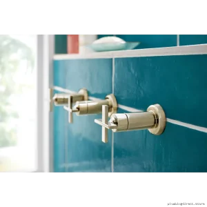 Brizo Levoir Sensori Nickel Trim with Cross Handle