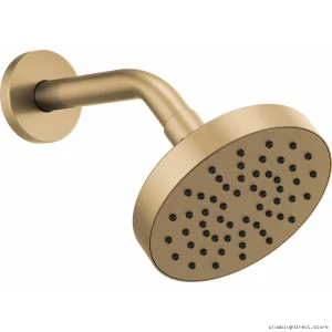 Brizo Luxe Gold 2.5 GPM 5-Round Single-Function High-Pressure Shower Head