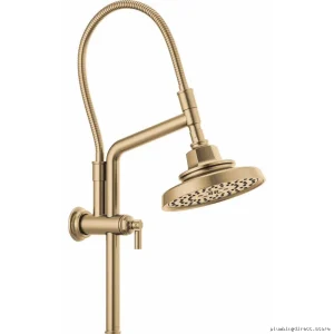 Adjustable Height Shower Arm & Flange - Brizo Luxe Gold