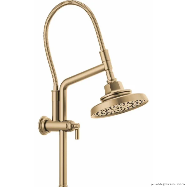 Adjustable Height Shower Arm & Flange - Brizo Luxe Gold
