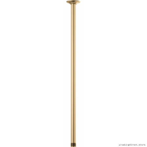 Brizo Luxe Gold Ceiling Mount Shower Arm with Round Flange 24 Inch