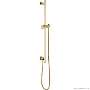 Brizo 74792-GL Luxe Gold Euro Round Slide Bar Shower Hose Set