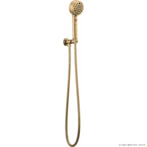 Brizo Luxe Gold Wall Mount Hand Shower with H2OKinetic Technology