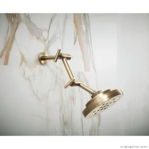 Brizo Luxe Gold Jointed Shower Arm & Flange - RP81434GL