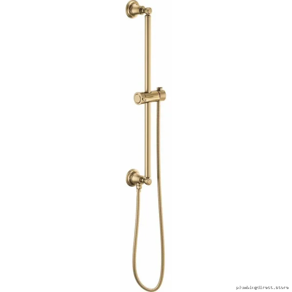 Brizo Luxe Gold Round Slide Bar Shower System with Hose 74795-GL