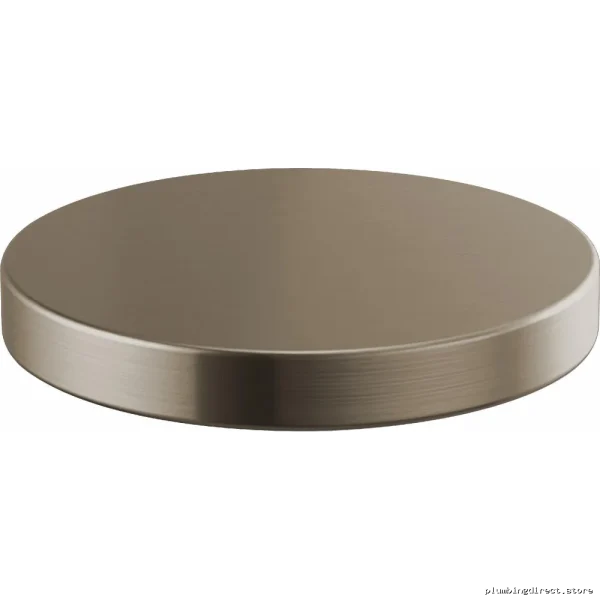 Brizo Luxe Gold RP90934SS Hole Cover Plate - Elegant Litze Design