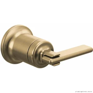 Brizo Luxe Gold Wall Mount Bathroom Faucet Lever Handle Kit HL5868-GL