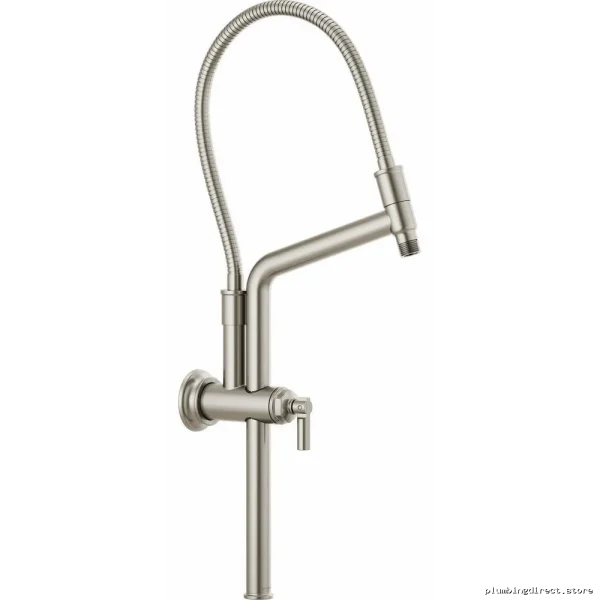 Brizo Luxe Nickel Adjustable Shower Arm with Flange 81376-NK