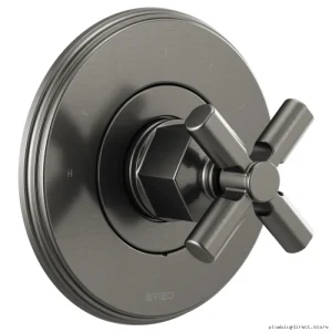 Brizo Luxe Steel Thermostatic Shower Valve Trim No Handle T66T076-SLLHP