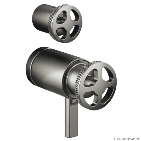 Brizo Luxe Steel Thermostatic Shower Valve with Diverter Handle HW7532-SL