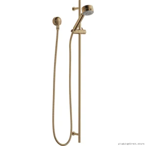 Quiessence Euro Handheld Shower with Gliding Bar - Luxury Gold 85521-GL Brizo
