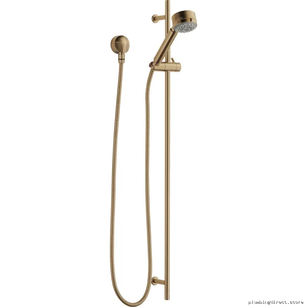 Quiessence Euro Handheld Shower with Gliding Bar - Luxury Gold 85521-GL Brizo
