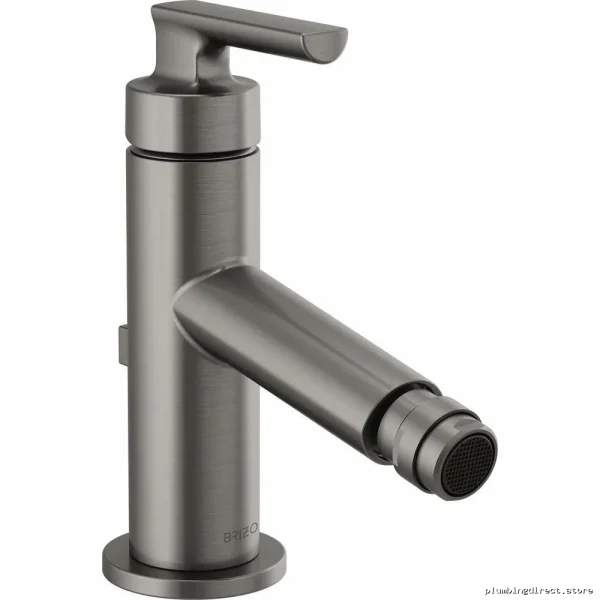 Luxury Steel Single-Hole Bidet Faucet - Brizo