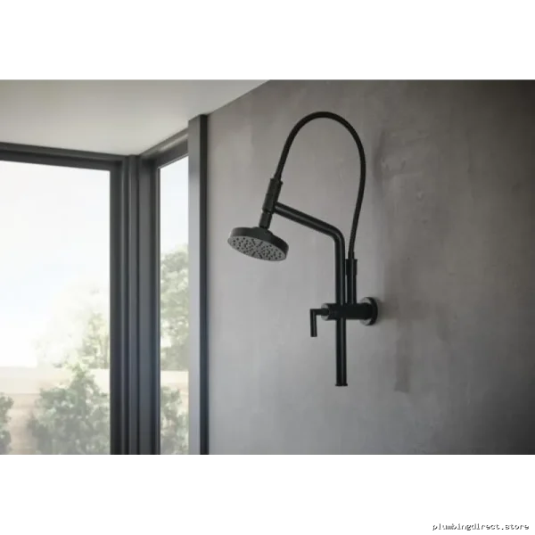 Brizo Matte Black Shower Head 5-Spray 1.75 GPM Water Saving Design - Image 2