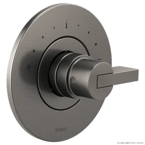 Litze Sensori Luxe Steel Thermostatic Valve Trim (Modern Design, No Handle) - T66T035-SLLHP Brizo