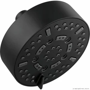 Brizo Multi-Spray Function Luxury Showerhead - Matte Black Finish