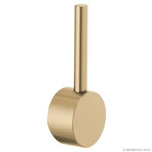 Brizo Odin Gold Pull-Down Kitchen Faucet with Lever Handle HLK175-GL