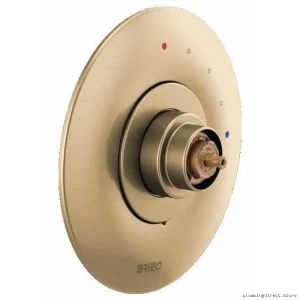 Brizo Odin Gold Pressure Balance Shower Valve Trim No Handle T60P075