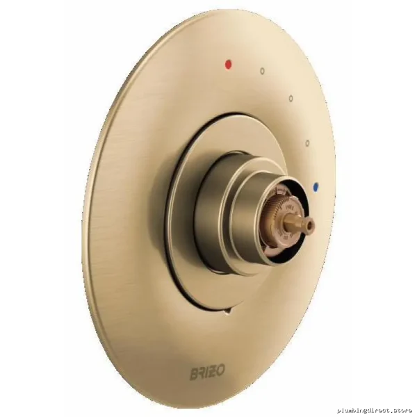 Brizo Odin Gold Pressure Balance Shower Valve Trim No Handle T60P075