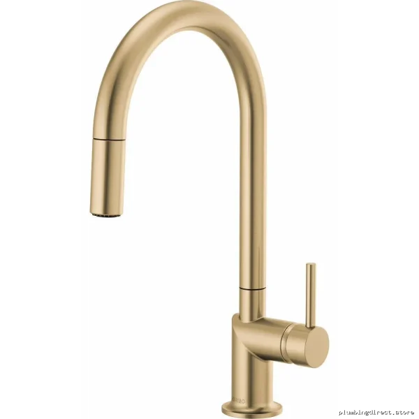 Brizo Odin Single-Handle Pull Down Kitchen Faucet with Swivel Spray