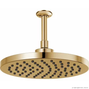 Polished Gold Round Raincan Shower Head with Waterfall Spray - Brizo