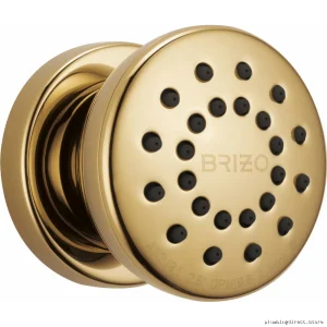 Brizo Touch-Clean Round Design Spray Trim with Rough-in Valve - Polished Gold 84110-PG