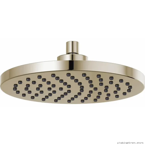 Brizo Polished Nickel 10-Round Raincan Shower Head 2.5 GPM High Flow