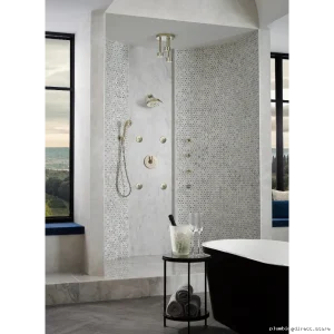 Brizo Polished Nickel Shower Arm with Flange RP74751PN 7-Inch