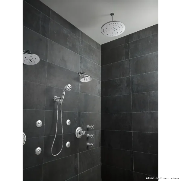Rook 7 Chrome Shower Arm & Flange - RP78580PC Brizo - Image 2