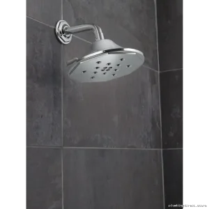 Rook 7 Chrome Shower Arm & Flange - RP78580PC Brizo