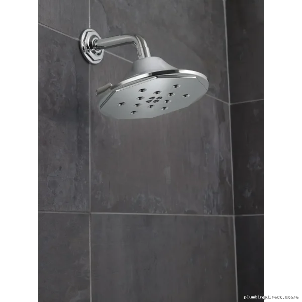 Rook 7 Chrome Shower Arm & Flange - RP78580PC Brizo
