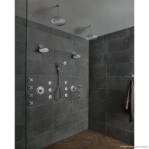 Rook 7 Chrome Shower Arm & Flange - RP78580PC Brizo - Image 3