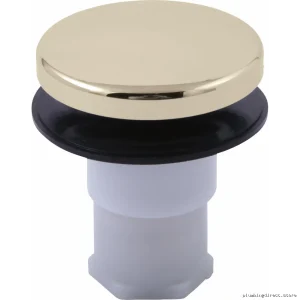 Brizo Chrome Kitchen Sink Stopper Assembly Replacement Part RP82438PN