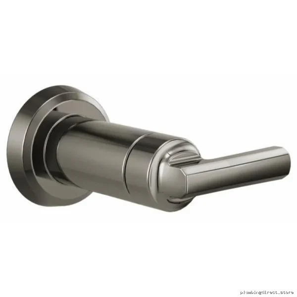 Brizo Levoir Luxe Steel Volume Control Trim T66697-BNX with Lever Handle