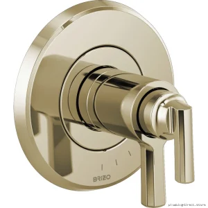 Thermostatic Shower Valve Trim Polished Nickel for Brizo T60098-PN | Levoir