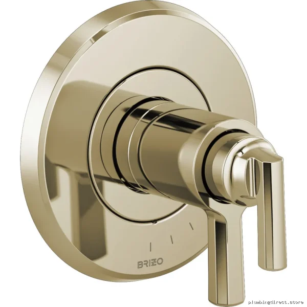 Thermostatic Shower Valve Trim Polished Nickel for Brizo T60098-PN | Levoir