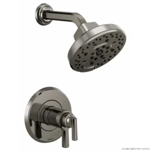 Brizo Levoir T60298-BNX Chromed Thermostat Shower Trim – Precision Temperature Control